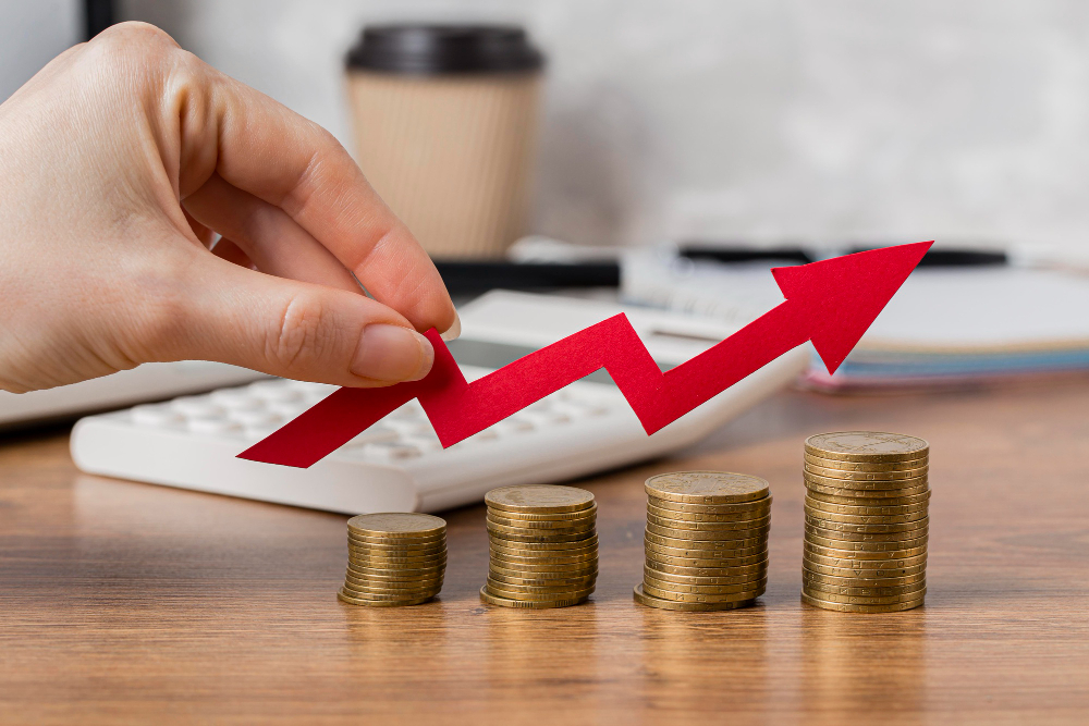 Margem de lucro ideal: Processo para definir e como alcançá-la